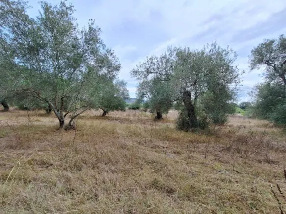 Land In Corfu, Greece