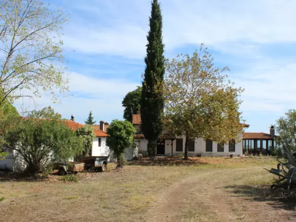3-bedroom Detached House In Litochoro, Greece (250 M²)