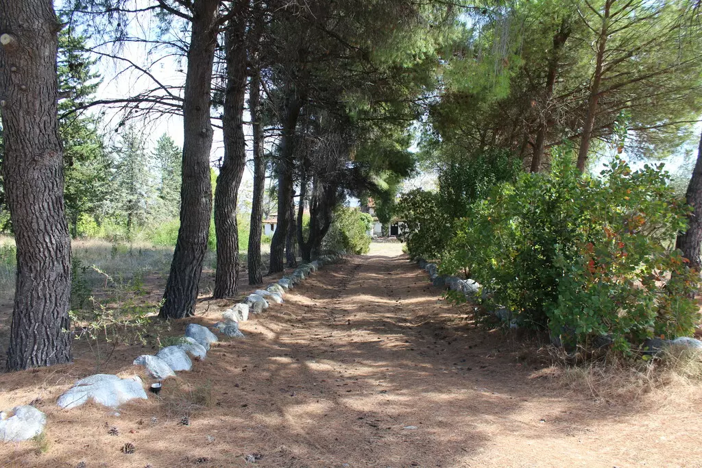 3-bedroom Detached House In Litochoro, Greece (250 M²)