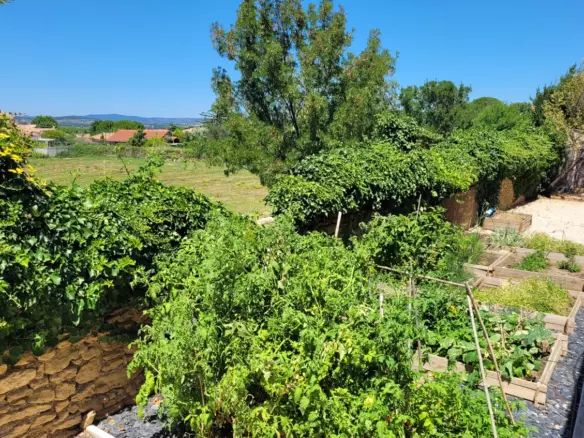 4-bedroom Detached House In Abeilhan, France (180 M²)