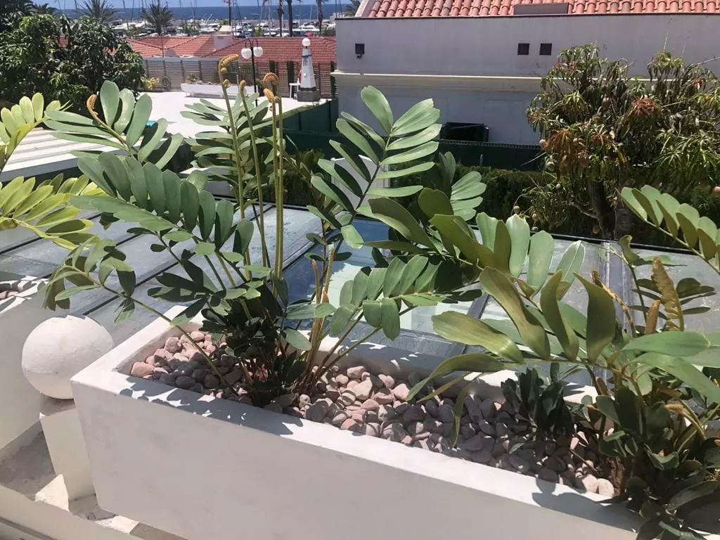 Luxury Villa With Sea View And Pool – Pasito Blanco, Gran Canaria