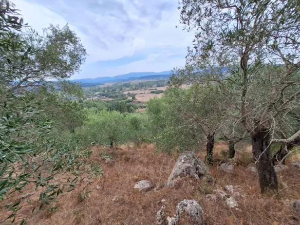 Land In Corfu, Greece