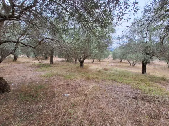 Land In Corfu, Greece