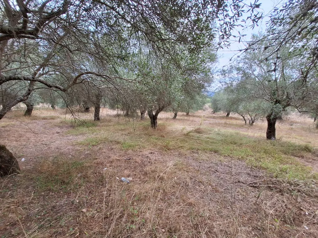 Land In Corfu, Greece