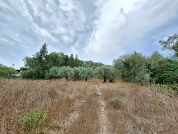 Land In Corfu, Greece