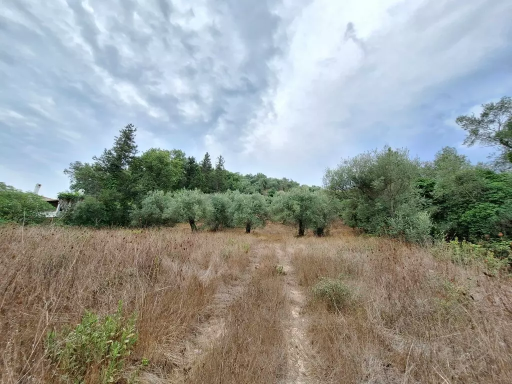 Land In Corfu, Greece