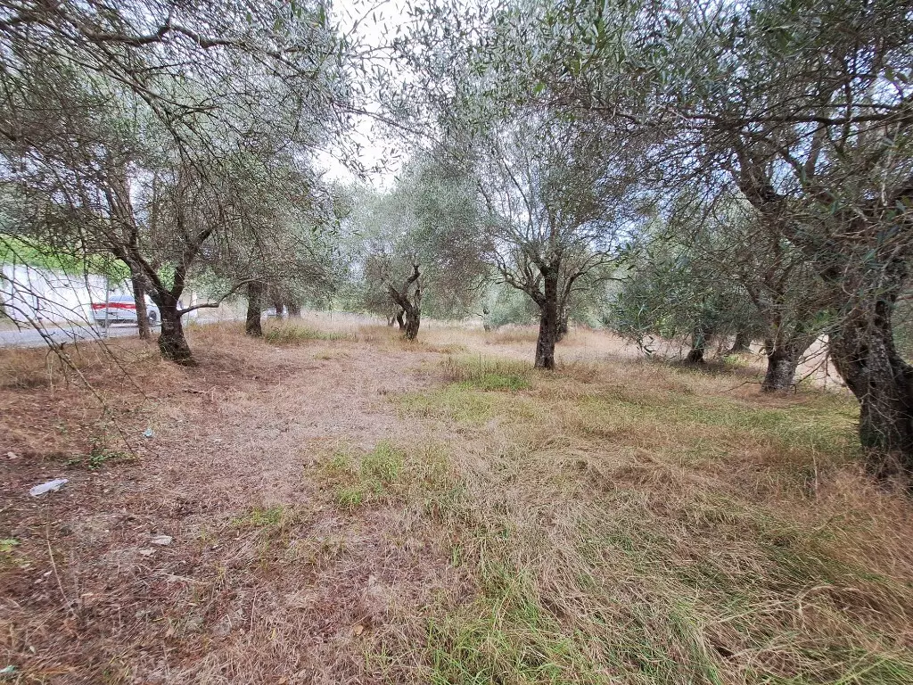 Land In Corfu, Greece