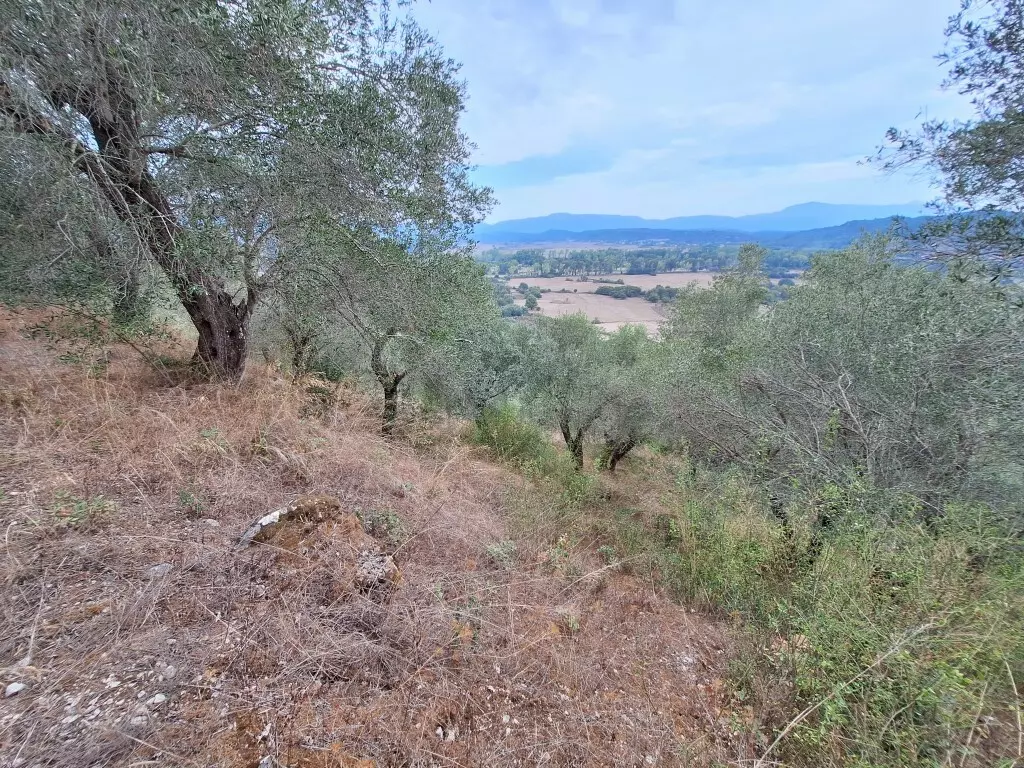 Land In Corfu, Greece