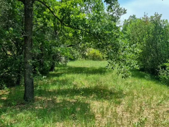 4-bedroom House In Couiza, France (170 M²)