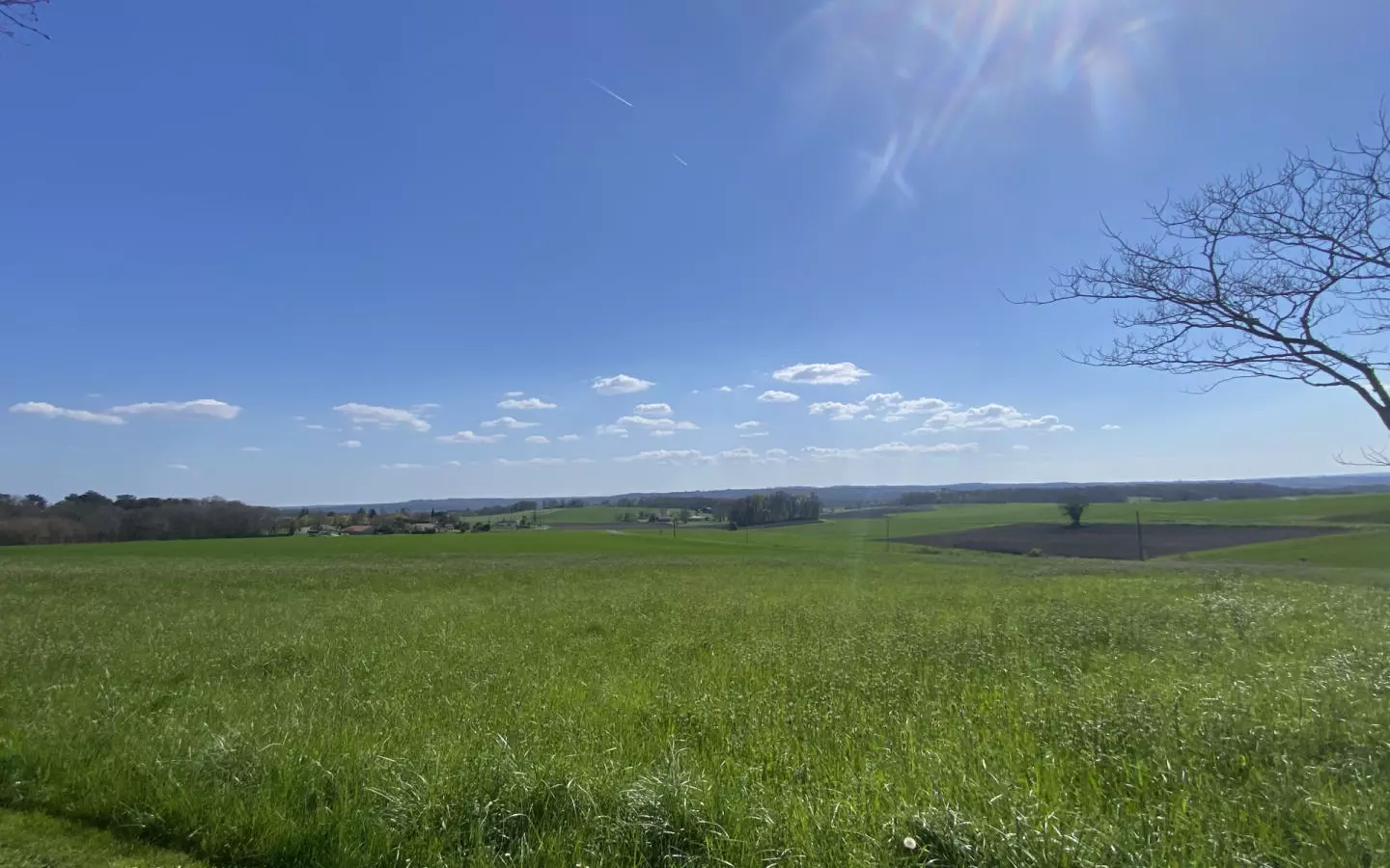 5-bedroom Country House In Saint-quentin-de-chalais, France (137 M²)