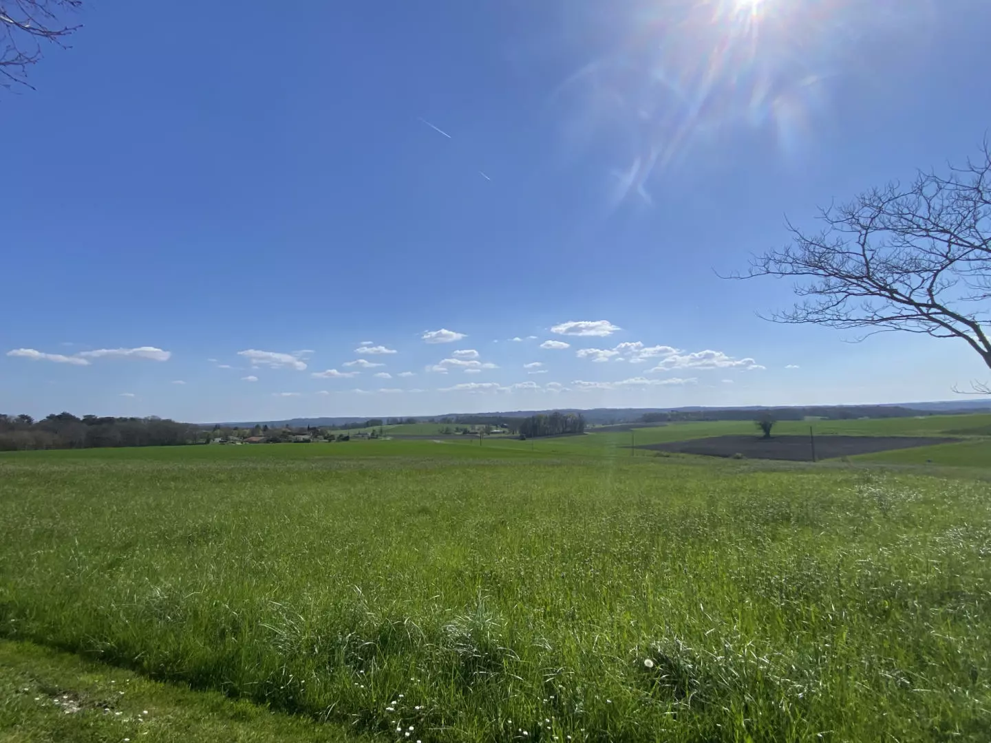 property_image_1rwow6eazv_20261013100651-0543ae 5-bedroom Country House In Saint-quentin-de-chalais, France (137 M²)
