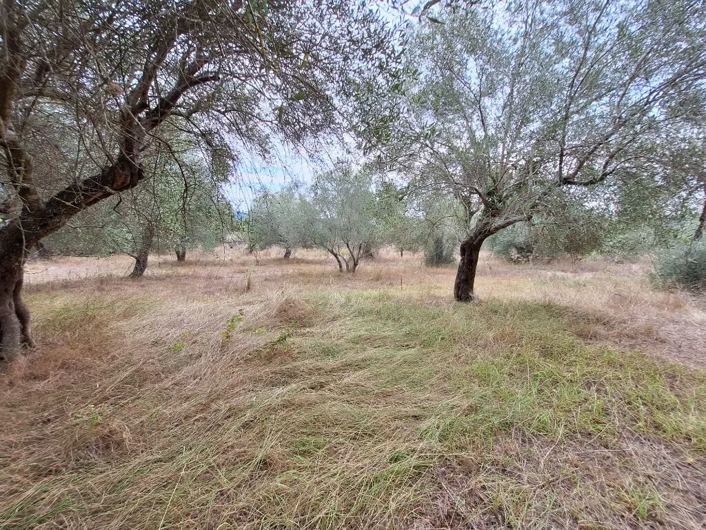 Land In Corfu, Greece