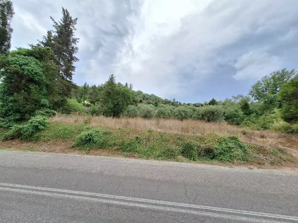 Land In Corfu, Greece