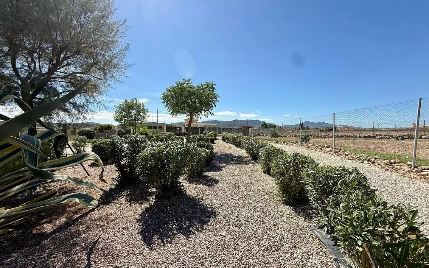 4-bedroom Detached Villa In Pinoso, Spain (177 M²)