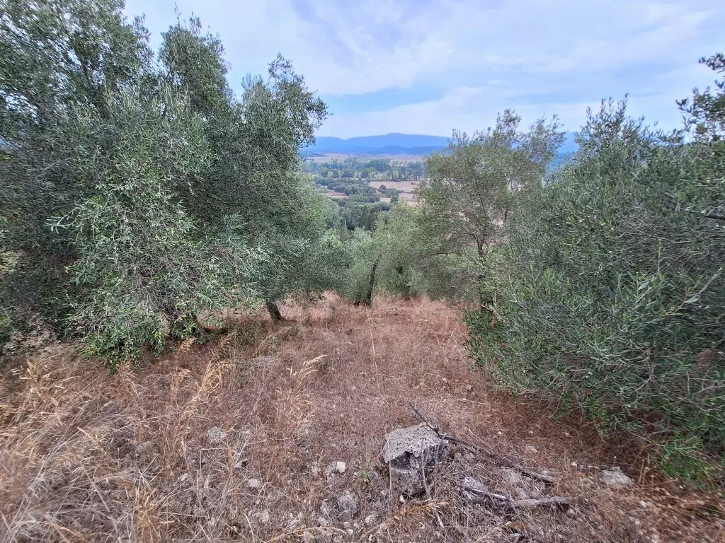 Land In Corfu, Greece