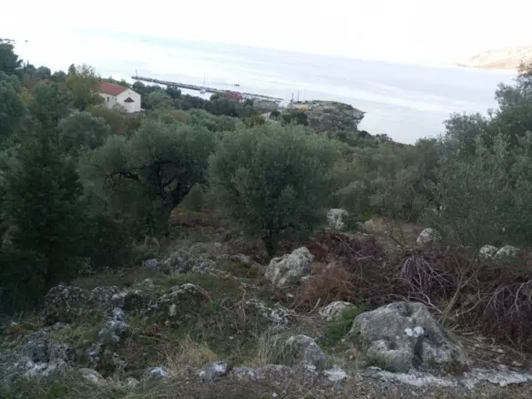 Land In Kalamos, Greece