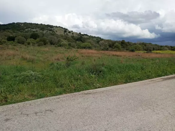 Land In Anaktorio, Greece