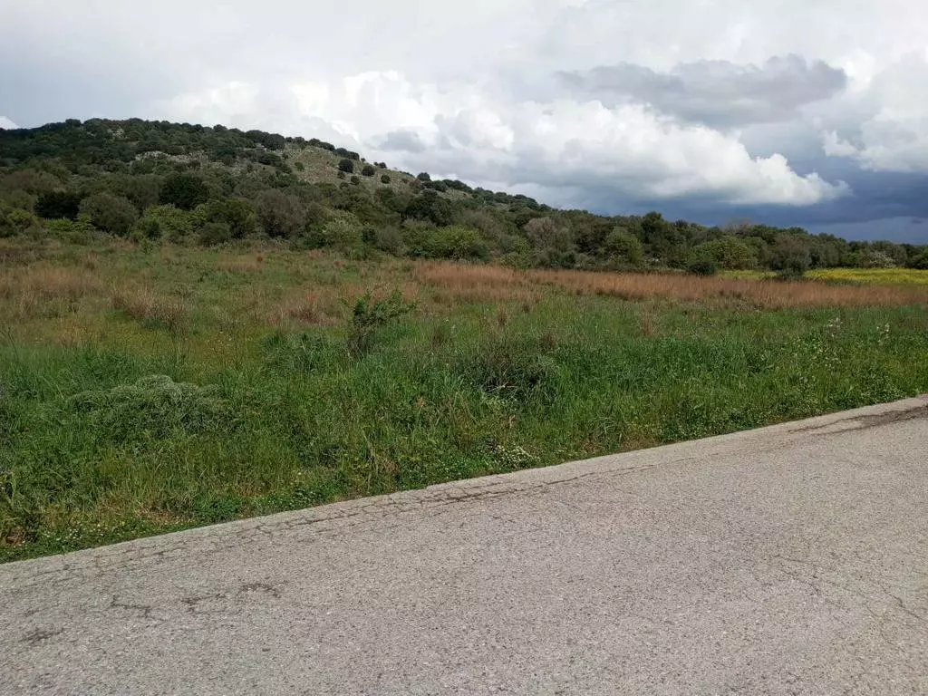 Land In Anaktorio, Greece