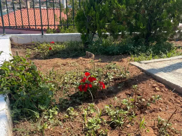 2-bedroom Detached House In Salamina, Greece (95 M²)