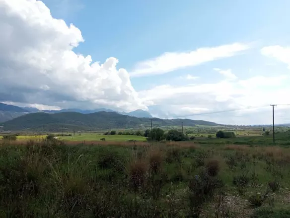 Land In Anaktorio, Greece