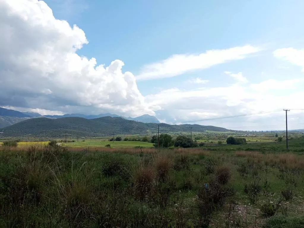 Land In Anaktorio, Greece