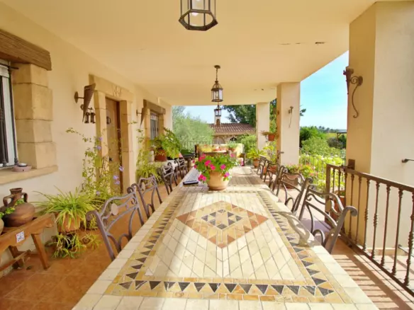 5-bedroom Villa In Elche, Spain (509 M²)