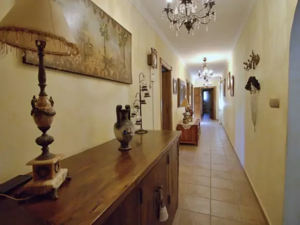 5-bedroom Villa In Elche, Spain (509 M²)