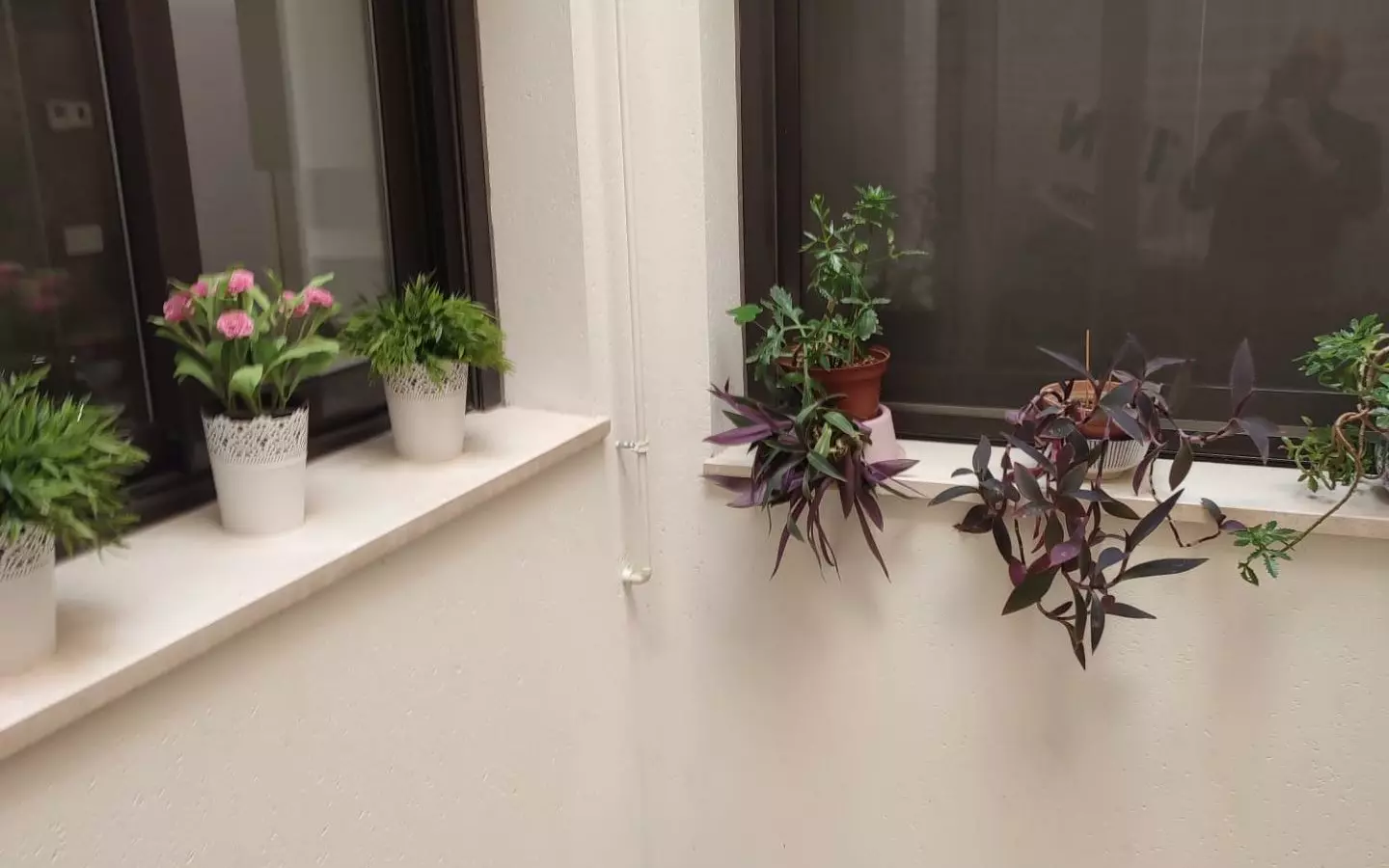 4-bedroom Apartment In Orihuela, Spain (140 M²)