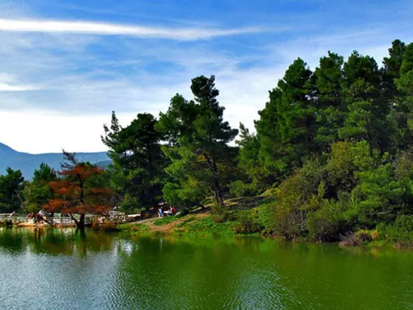 Land In Acharnes, Greece