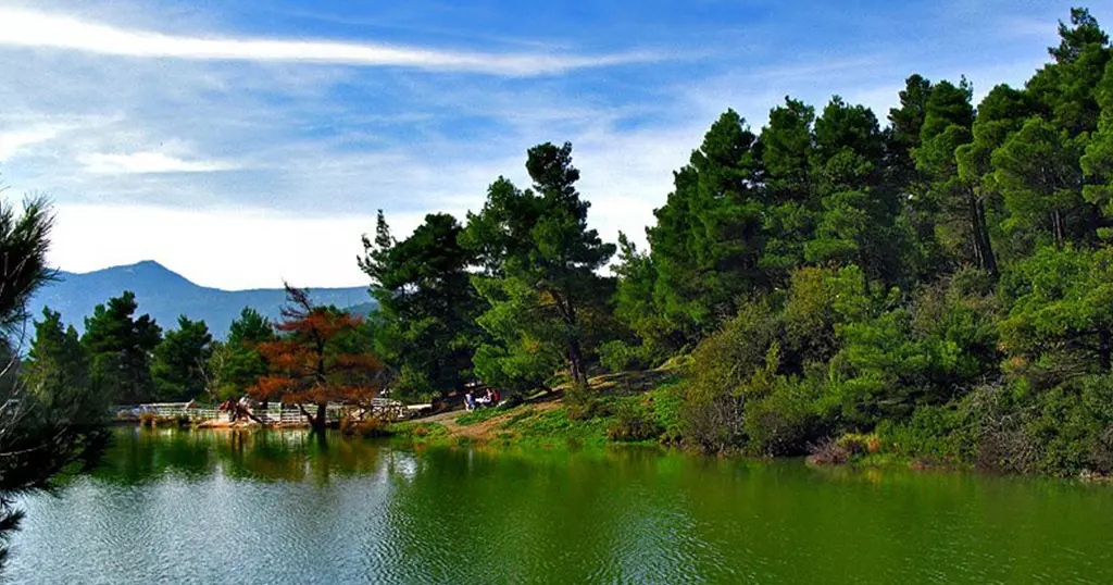 Land In Acharnes, Greece
