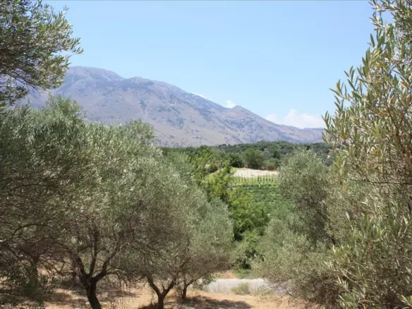 Land In Georgioupoli, Greece