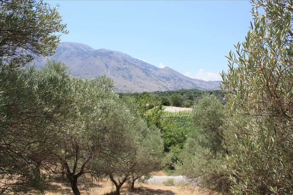 Land In Georgioupoli, Greece