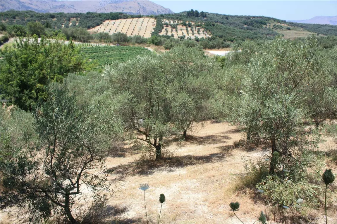 Land In Georgioupoli, Greece