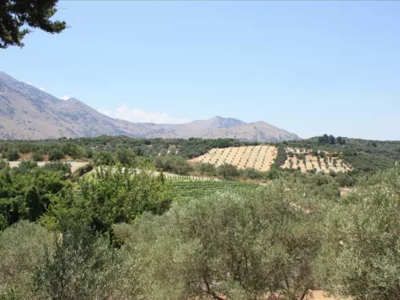 Land In Georgioupoli, Greece