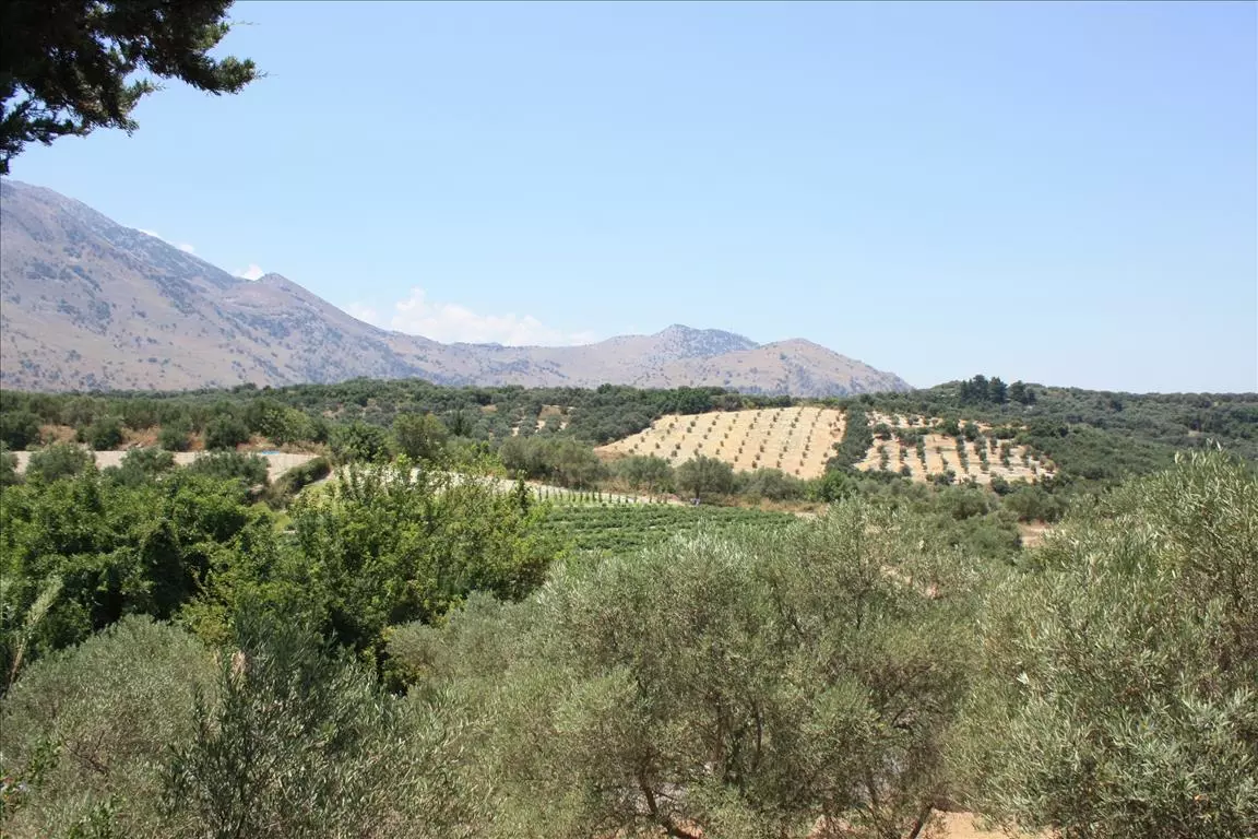 Land In Georgioupoli, Greece