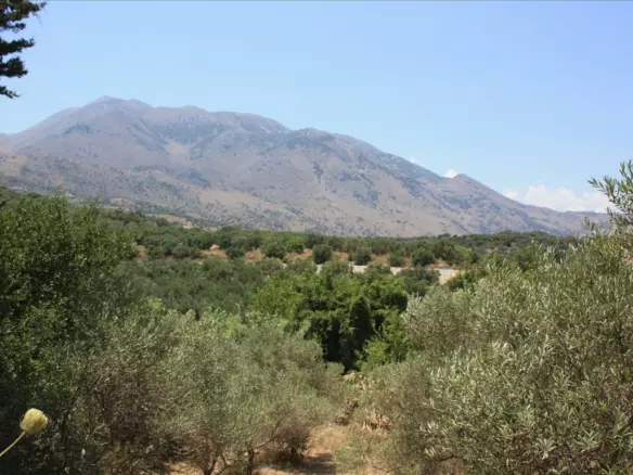 Land In Georgioupoli, Greece