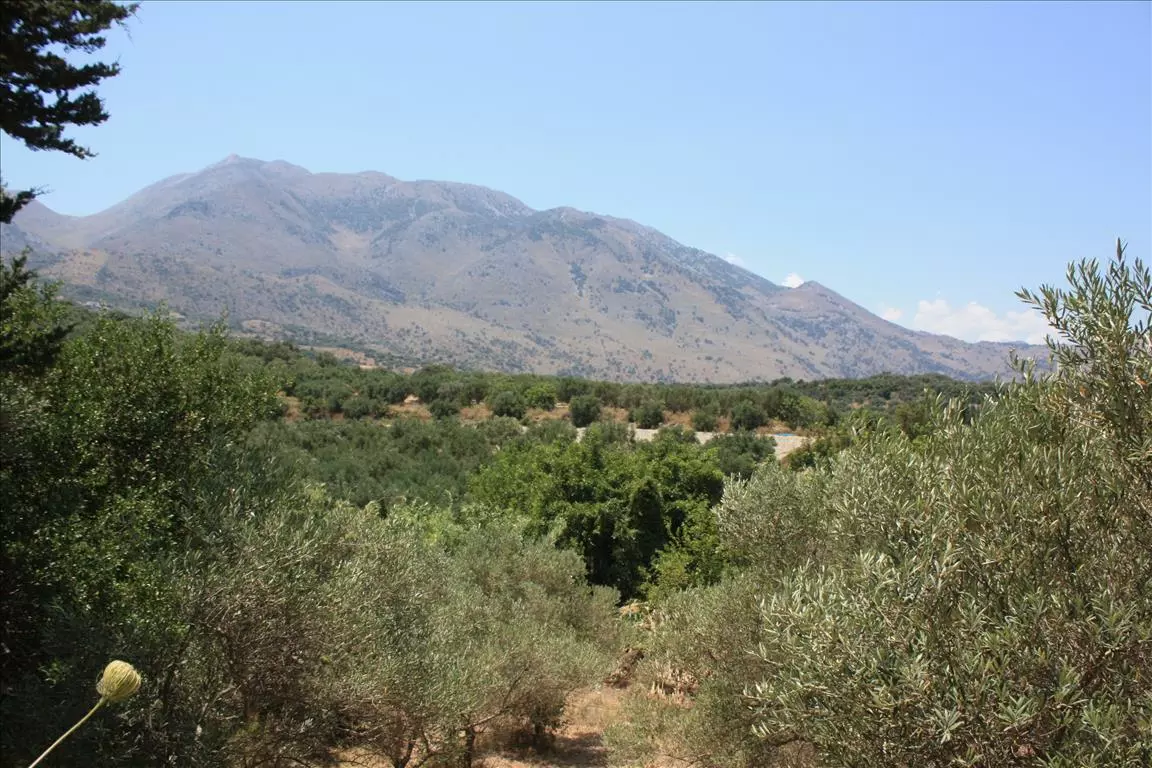 Land In Georgioupoli, Greece