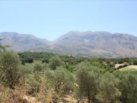 Land In Georgioupoli, Greece