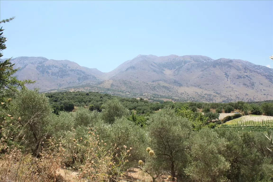 Land In Georgioupoli, Greece