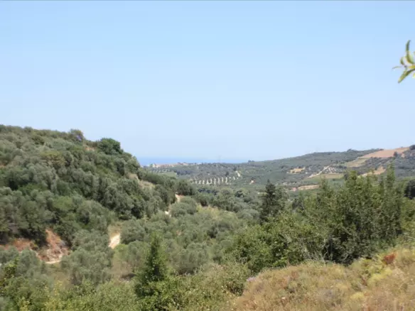 Land In Georgioupoli, Greece