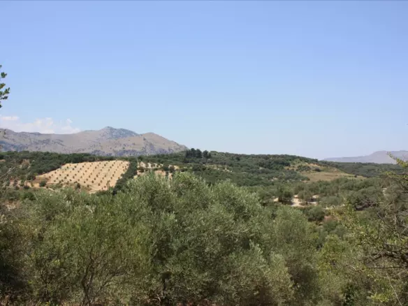 Land In Georgioupoli, Greece