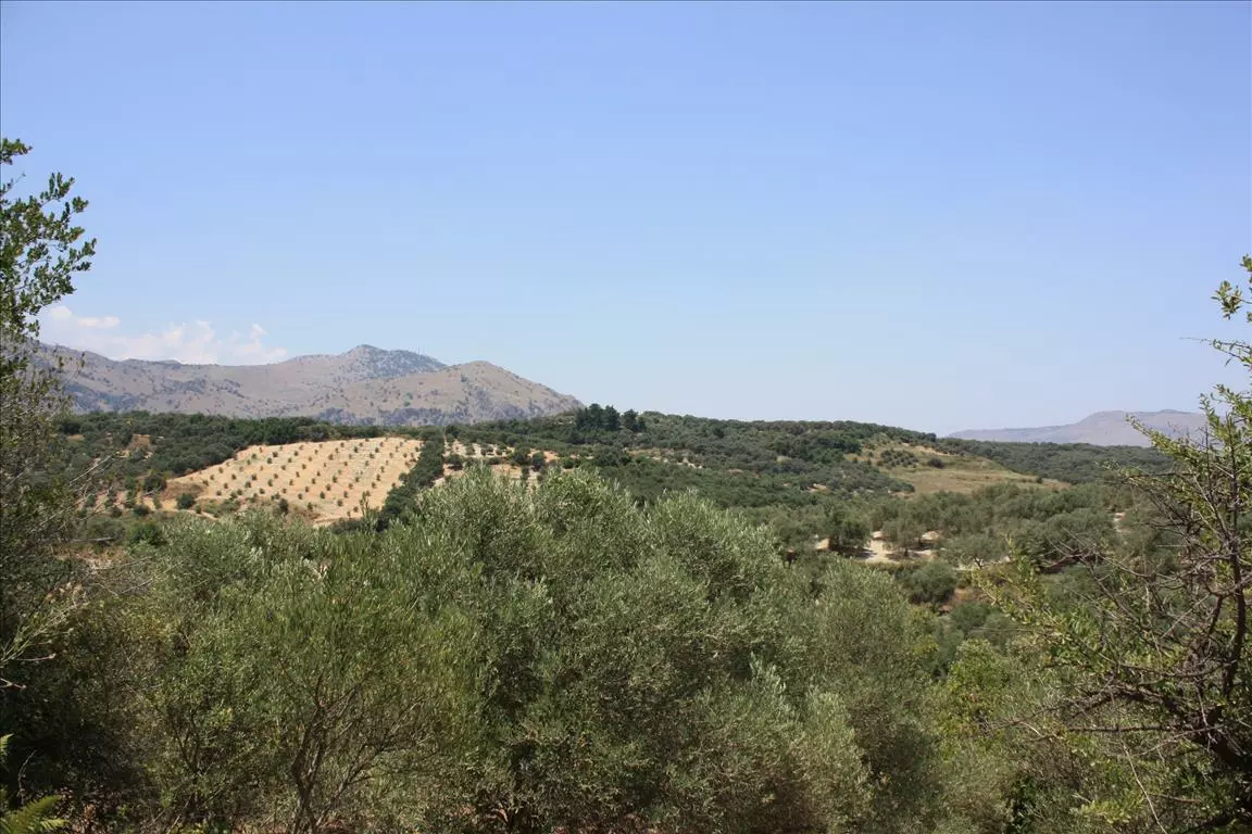 Land In Georgioupoli, Greece