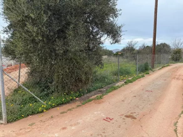 Land In Akrotiri, Greece
