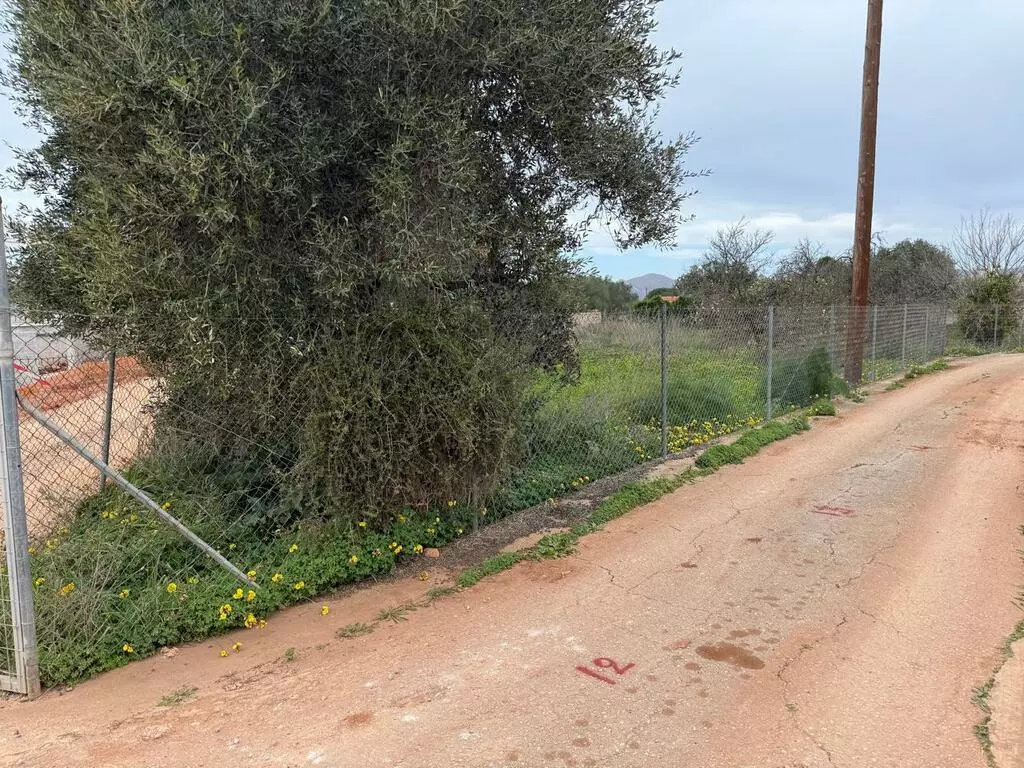Land In Akrotiri, Greece