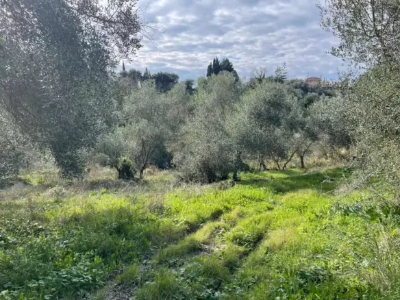 Land In Corfu, Greece