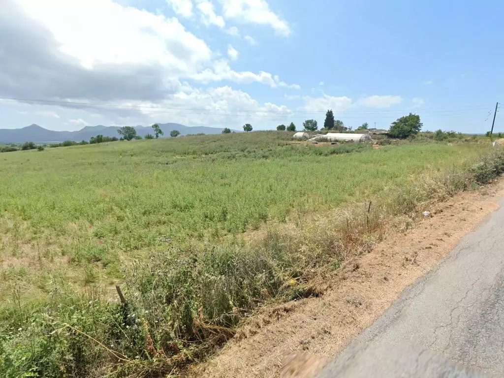Land In Anaktorio, Greece