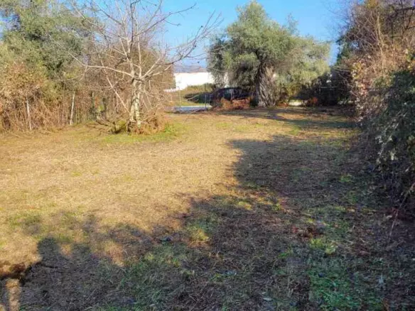Land In Thasos, Greece