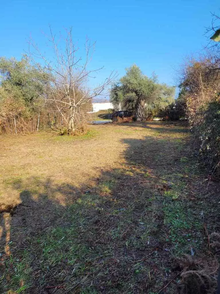 Land In Thasos, Greece