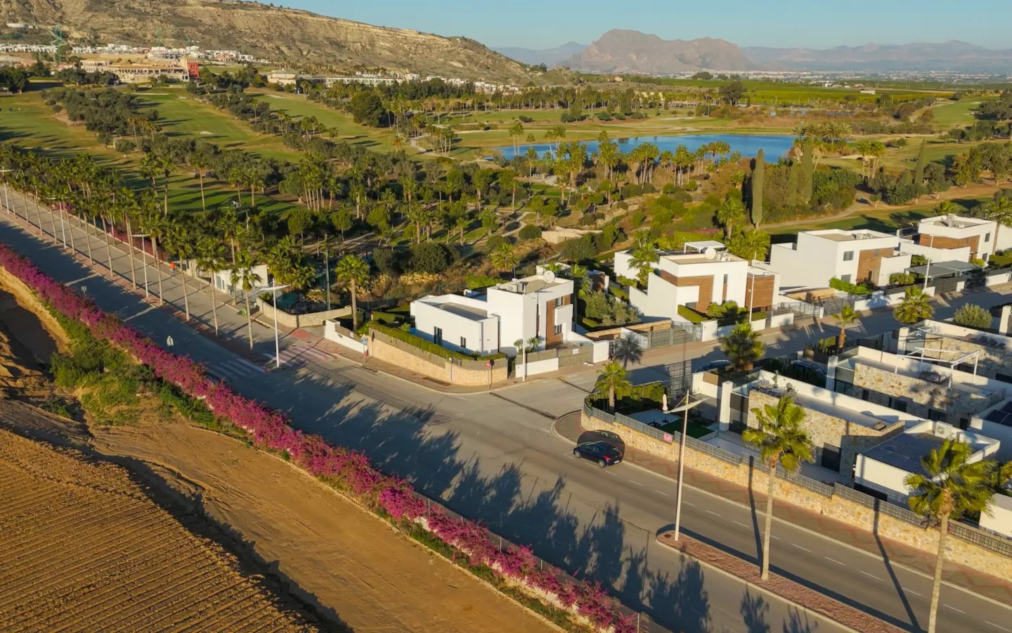4-bedroom Villa In Algorfa, Spain (300 M²)