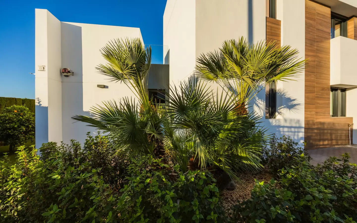 4-bedroom Villa In Algorfa, Spain (300 M²)